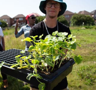 One Caucasian male MFRC employee holding up a tray of assorted vegetable sprouts. They are a part of our ‘Growing Together: Food Justice’ initiative.
